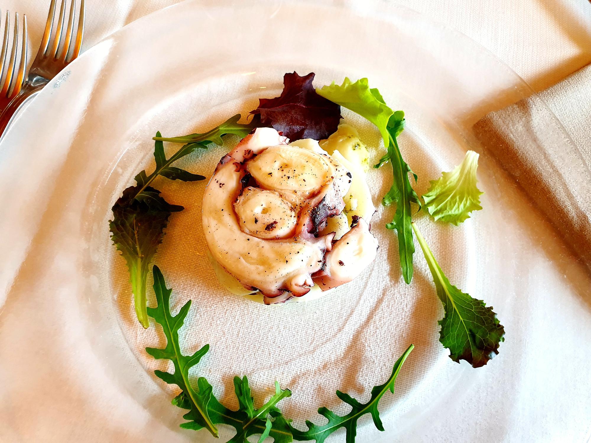 Close-up of plated main course with garnish